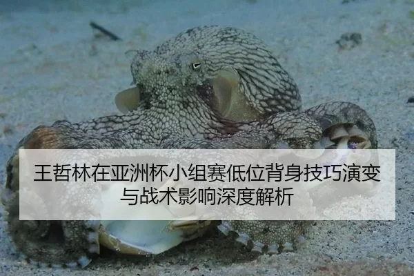 王哲林在亚洲杯小组赛低位背身技巧演变与战术影响深度解析